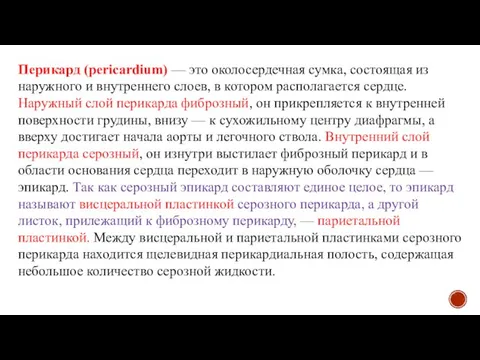 Перикард (pericardium) — это околосердечная сумка, состоящая из наружного и внутреннего слоев,