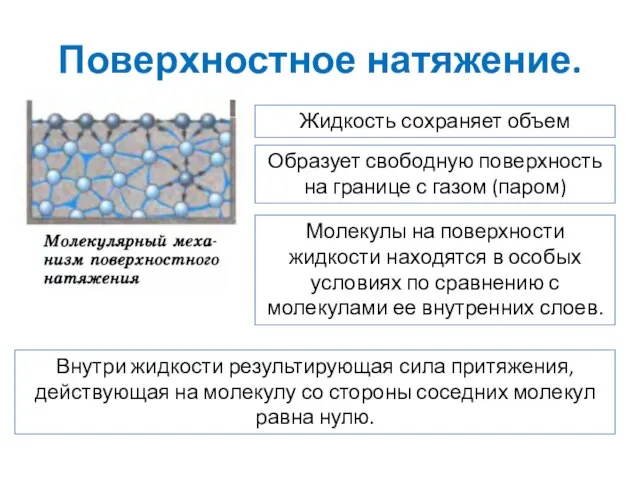 Поверхностное натяжение. Жидкость сохраняет объем Образует свободную поверхность на границе с газом