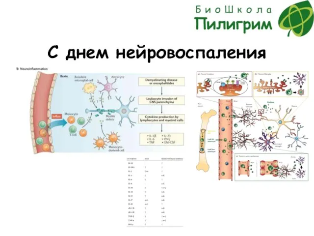 С днем нейровоспаления