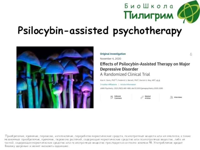 Psilocybin-assisted psychotherapy Приобретение, хранение, перевозка, изготовление, переработка наркотических средств, психотропных веществ или