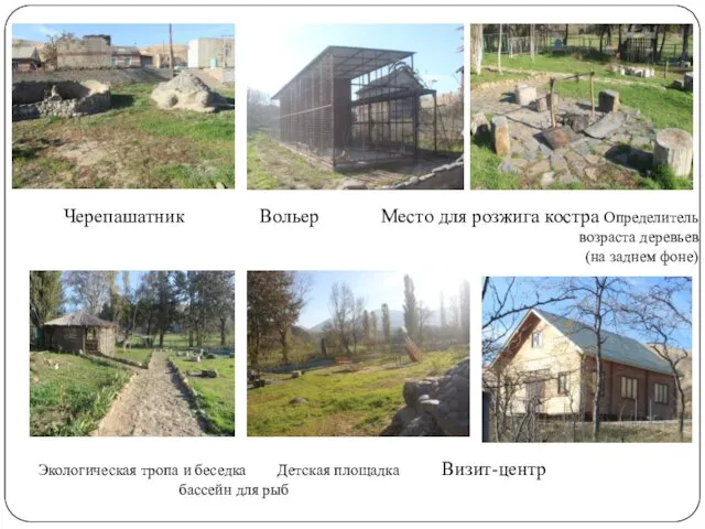 Черепашатник Вольер Место для розжига костра Определитель возраста деревьев (на заднем фоне)