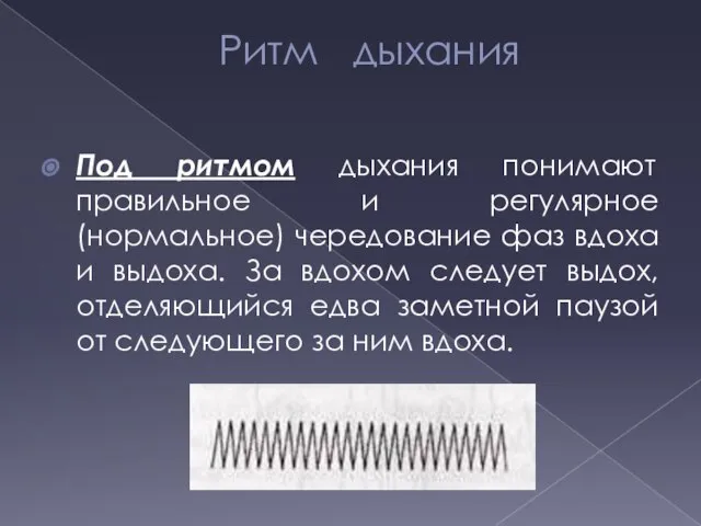 Ритм дыхания Под ритмом дыхания понимают правильное и регулярное (нормальное) чередование фаз