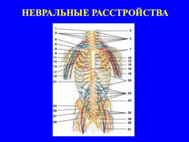 НЕВРАЛЬНЫЕ РАССТРОЙСТВА