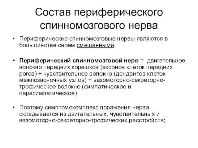 Состав периферического спинномозгового нерва Периферические спинномозговые нервы являются в большинстве своем смешанными.