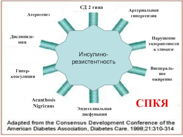 Инсулино-резистентность СПКЯ Эндотелиальная дисфункция Висцераль-ное ожирение Артериальная гипертензия Атерогенез Дислипиде-мия Гипер-коагуляция Нарушение