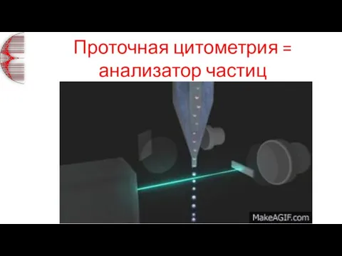 Проточная цитометрия = анализатор частиц