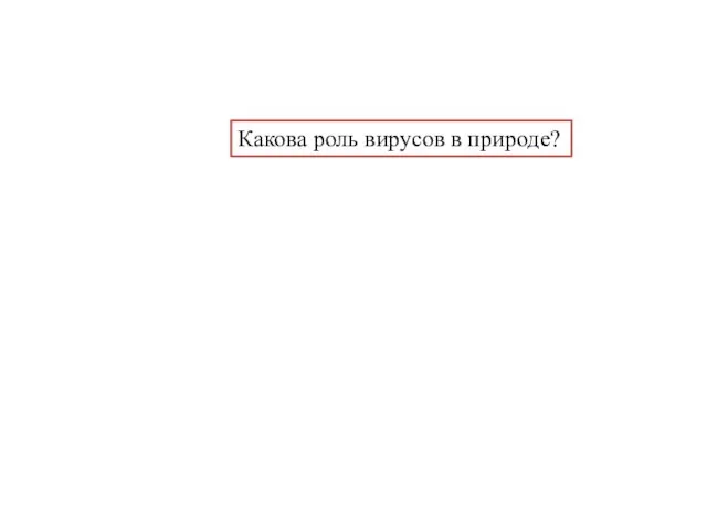 Какова роль вирусов в природе?