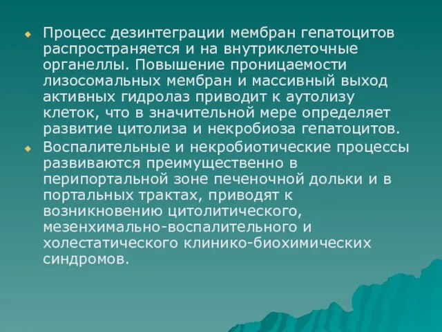 Процесс дезинтеграции мембран гепатоцитов распространяется и на внутриклеточные органеллы. Повышение проницаемости лизосомальных