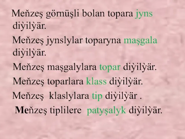 Meňzeş görnüşli bolan topara jyns diỳilỳär. Meňzeş jynslylar toparyna maşgala diỳilỳär. Meňzeş