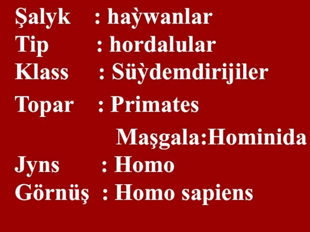 Şalyk : haỳwanlar Tip : hordalular Klass : Süỳdemdirijiler Topar : Primates