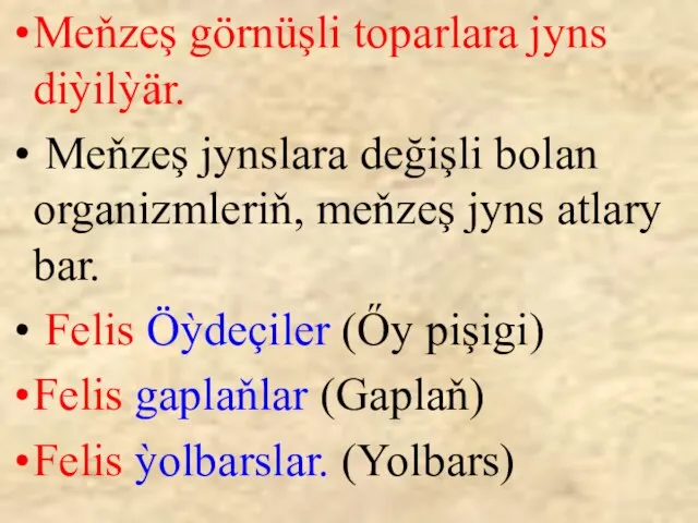 Meňzeş görnüşli toparlara jyns diỳilỳär. Meňzeş jynslara değişli bolan organizmleriň, meňzeş jyns