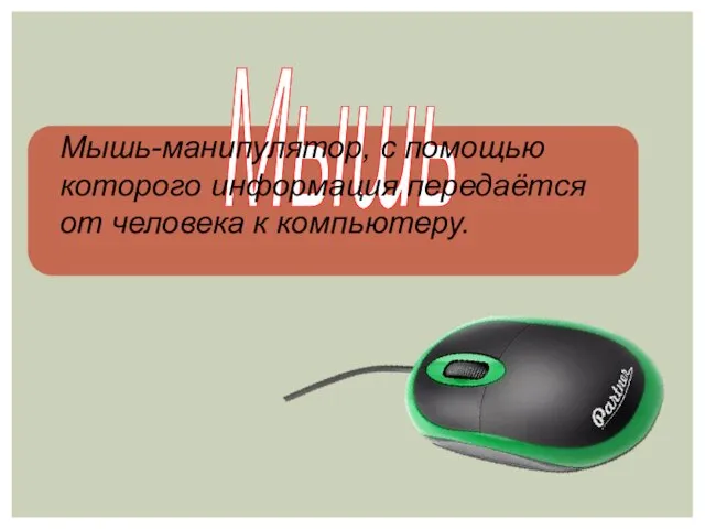 Мышь Мышь-манипулятор, с помощью которого информация передаётся от человека к компьютеру.