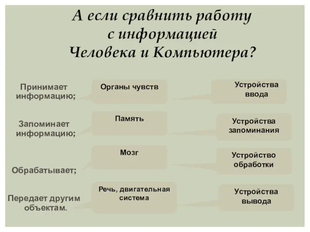 Принимает информацию; Запоминает информацию; Обрабатывает; Передает другим объектам. Органы чувств Память Мозг