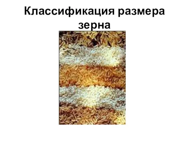 Классификация размера зерна