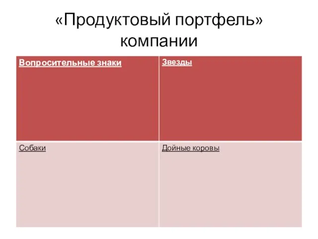 «Продуктовый портфель» компании