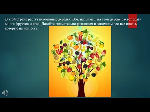 В этой стране растут необычные деревья. Вот, например, на этом дереве растет