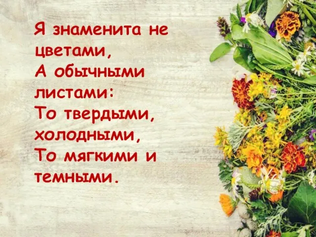 Я знаменита не цветами, А обычными листами: То твердыми, холодными, То мягкими и темными.