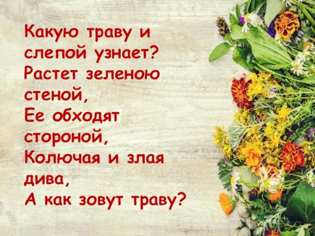 Какую траву и слепой узнает? Растет зеленою стеной, Ее обходят стороной, Колючая