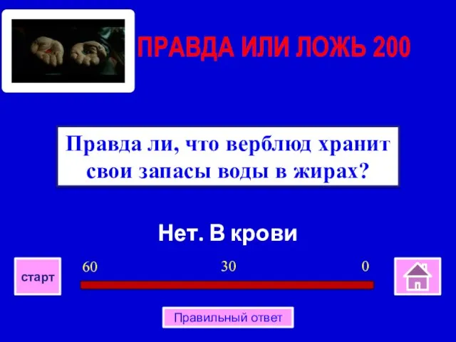 Нет. В крови Правда ли, что верблюд хранит свои запасы воды в