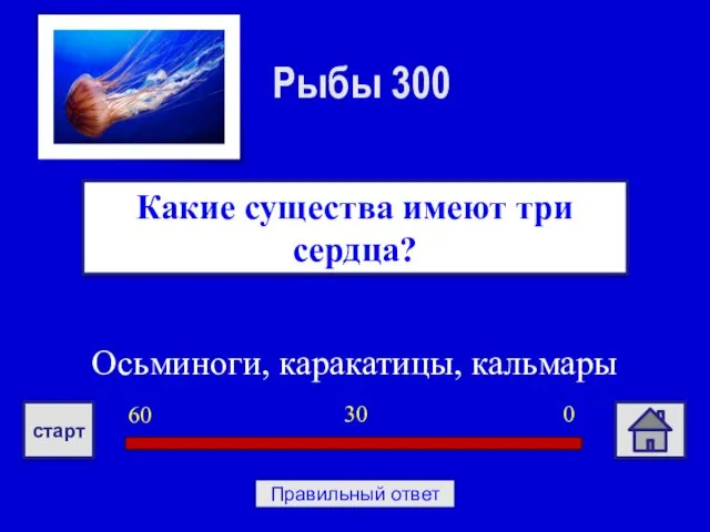 Осьминоги, каракатицы, кальмары Какие существа имеют три сердца? Рыбы 300 0 30 60 старт Правильный ответ