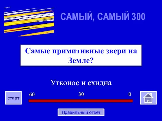 Утконос и ехидна Самые примитивные звери на Земле? САМЫЙ, САМЫЙ 300 0