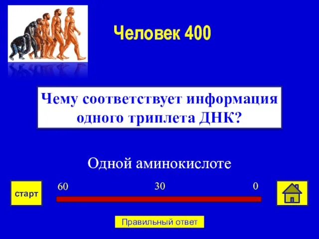 Одной аминокислоте Чему соответствует информация одного триплета ДНК? Человек 400 0 30 60 старт Правильный ответ