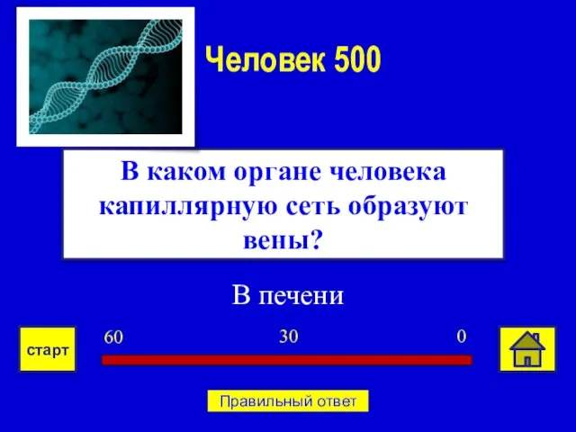 В печени В каком органе человека капиллярную сеть образуют вены? Человек 500