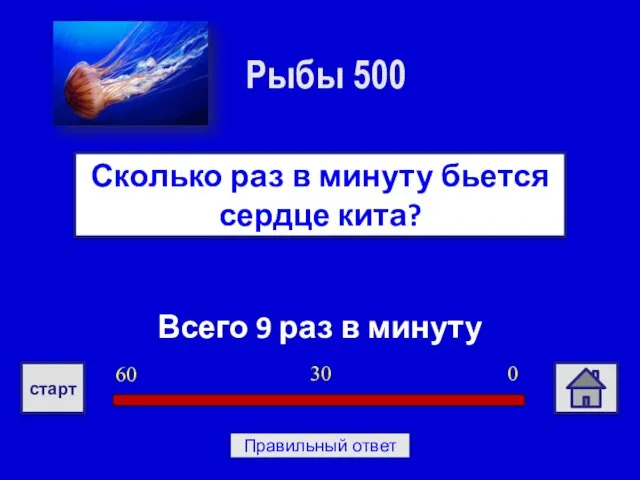 Всего 9 раз в минуту Сколько раз в минуту бьется сердце кита?