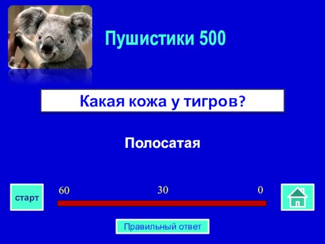 Полосатая Какая кожа у тигров? Пушистики 500 0 30 60 старт Правильный ответ