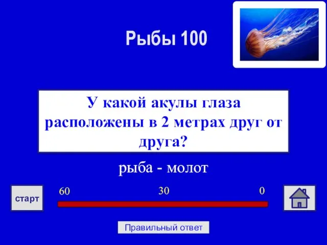 рыба - молот У какой акулы глаза расположены в 2 метрах друг