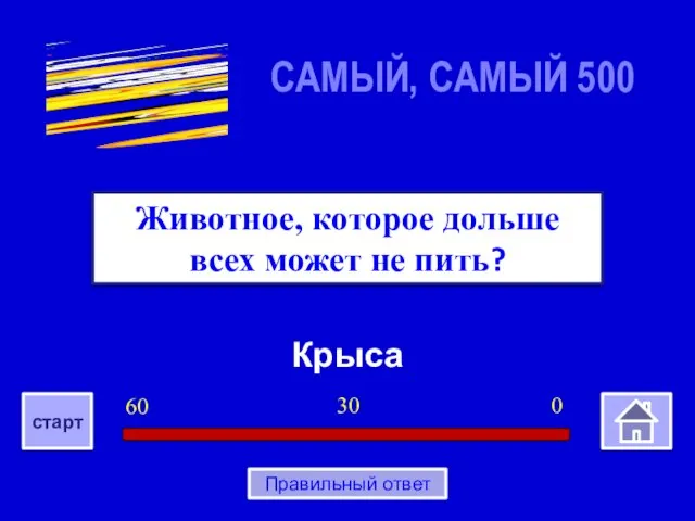 Крыса Животное, которое дольше всех может не пить? САМЫЙ, САМЫЙ 500 0