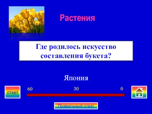 Япония Где родилось искусство составления букета? Растения 0 30 60 старт Правильный ответ