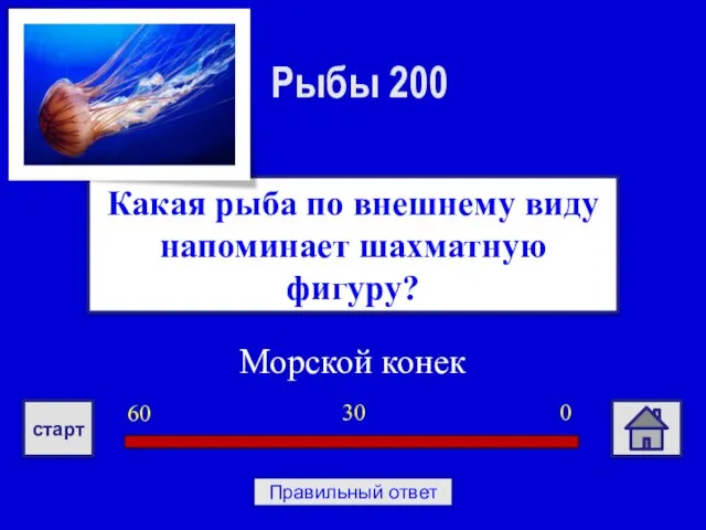 Морской конек Какая рыба по внешнему виду напоминает шахматную фигуру? Рыбы 200