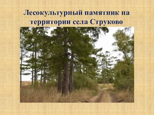 Лесокультурный памятник на территории села Струково