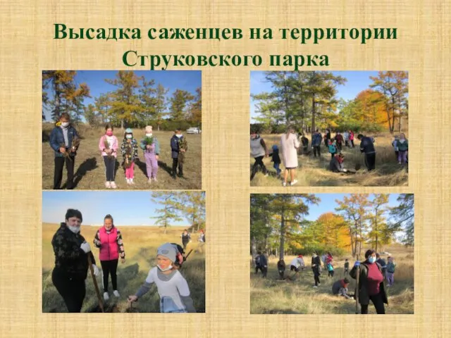 Высадка саженцев на территории Струковского парка