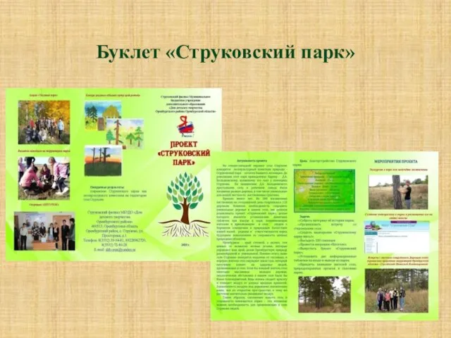 Буклет «Струковский парк»