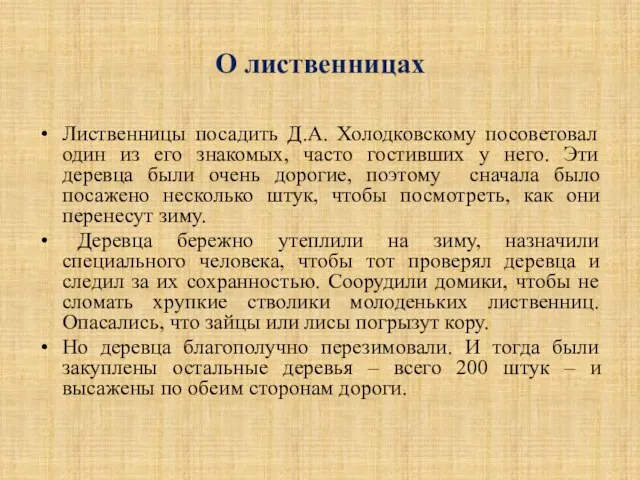 О лиственницах Лиственницы посадить Д.А. Холодковскому посоветовал один из его знакомых, часто