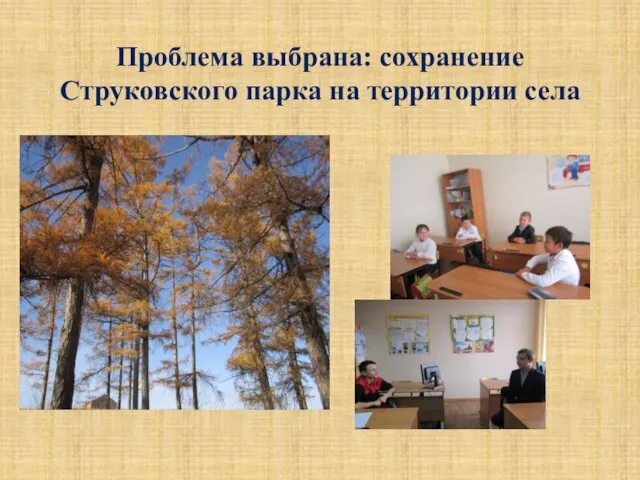 Проблема выбрана: сохранение Струковского парка на территории села