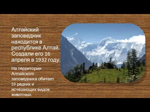 Алтайский заповедник находится в республике Алтай. Создали его 16 апреля в 1932