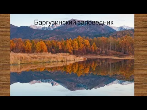 Баргузинский заповедник