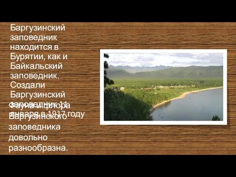 Баргузинский заповедник находится в Бурятии, как и Байкальский заповедник. Создали Баргузинский заповедник