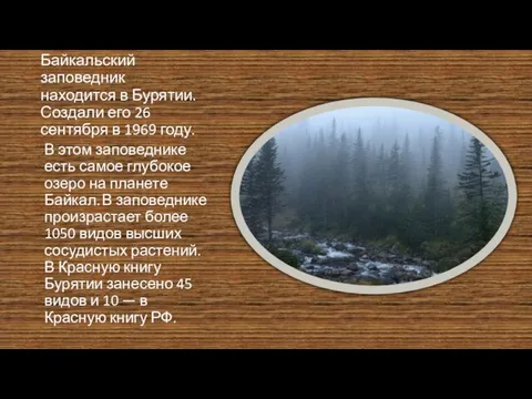 Байкальский заповедник находится в Бурятии. Создали его 26 сентября в 1969 году.