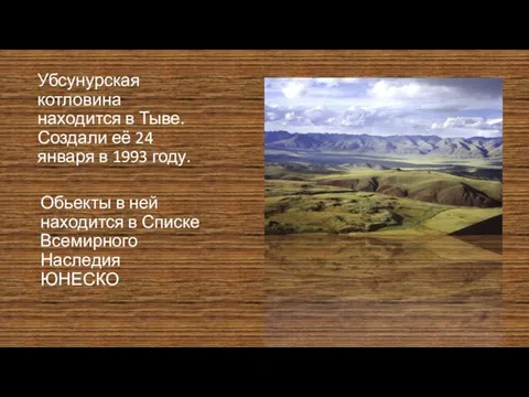 Убсунурская котловина находится в Тыве. Создали её 24 января в 1993 году.