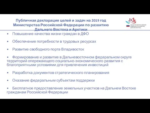 Публичная декларация целей и задач на 2019 год Министерства Российской Федерации по