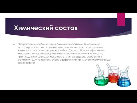 Химический состав Это растение изобилует целебными веществами. В медицине используются его высушенные