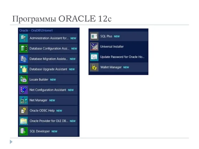 Программы ORACLE 12с