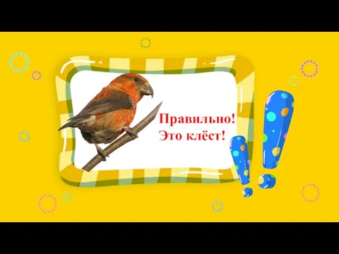 Правильно! Это клёст!