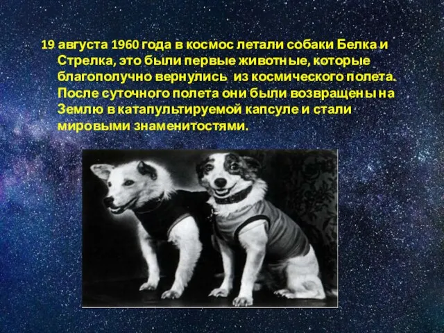 19 августа 1960 года в космос летали собаки Белка и Стрелка, это