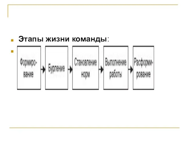 Этапы жизни команды: