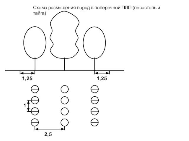 Схема размещения пород в поперечной ПЛП (лесостепь и тайга)